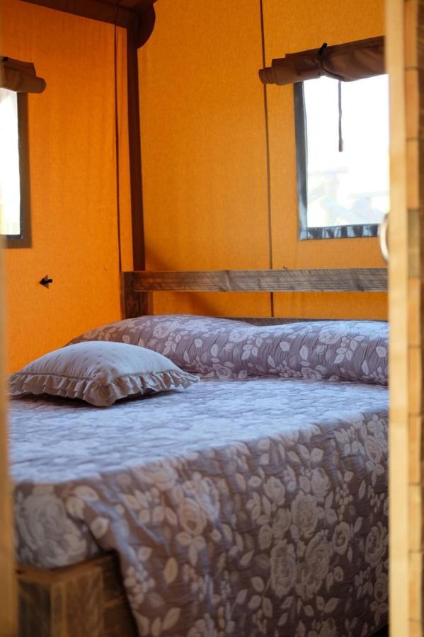פרמו La Viola E Il Sole - Alloggi E Glamping - מראה חיצוני תמונה
